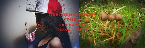прущая мука Братск