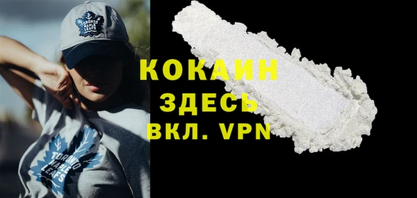 apvp Михайлов