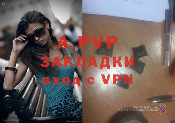 гашик Нея