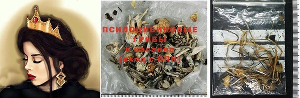 apvp Михайлов