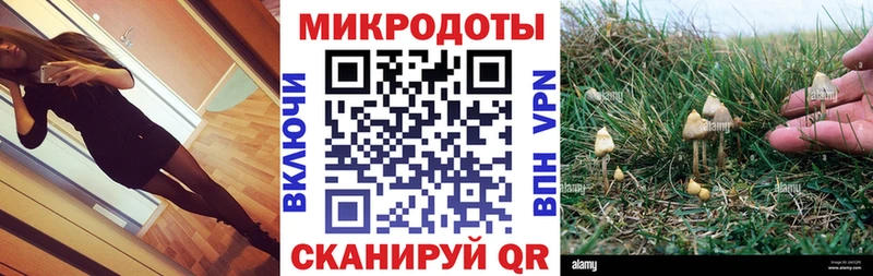 где купить   Нестеровская  Псилоцибиновые грибы MAGIC MUSHROOMS 