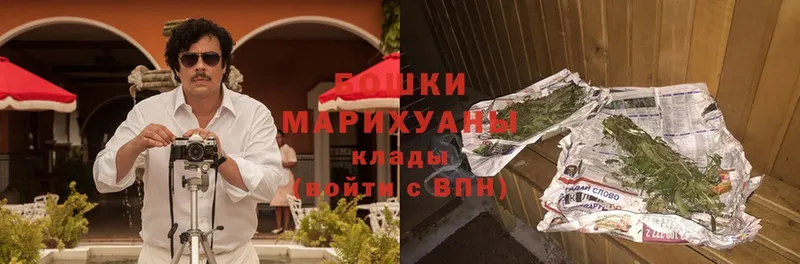 Шишки марихуана OG Kush  Нестеровская 